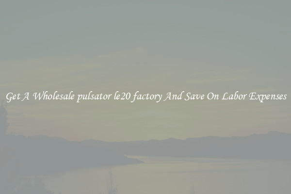 Get A Wholesale pulsator le20 factory And Save On Labor Expenses