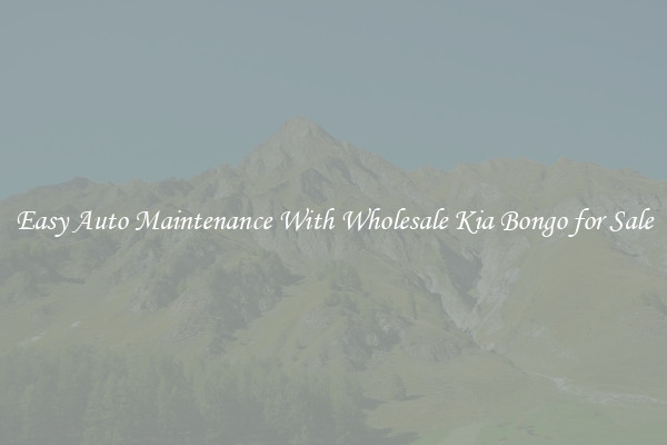 Easy Auto Maintenance With Wholesale Kia Bongo for Sale