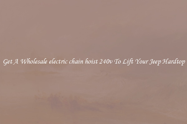 Get A Wholesale electric chain hoist 240v To Lift Your Jeep Hardtop