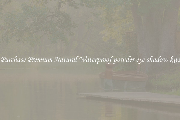 Purchase Premium Natural Waterproof powder eye shadow kits