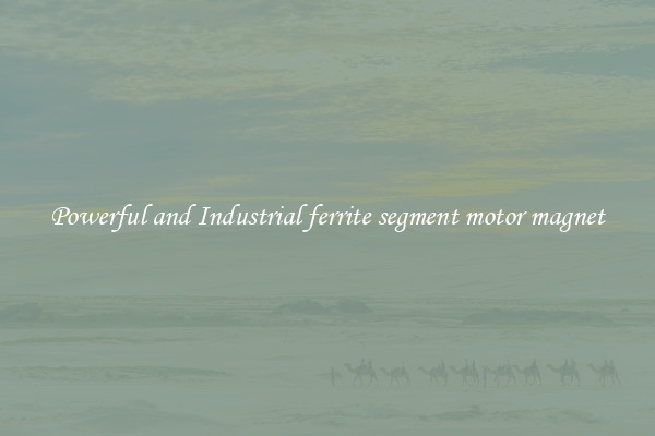 Powerful and Industrial ferrite segment motor magnet