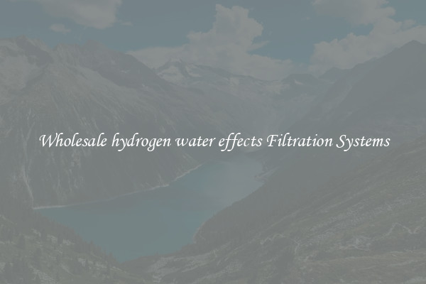 Wholesale hydrogen water effects Filtration Systems