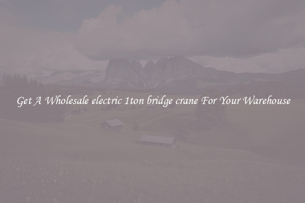 Get A Wholesale electric 1ton bridge crane For Your Warehouse