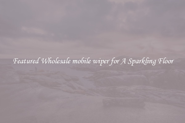 Featured Wholesale mobile wiper for A Sparkling Floor