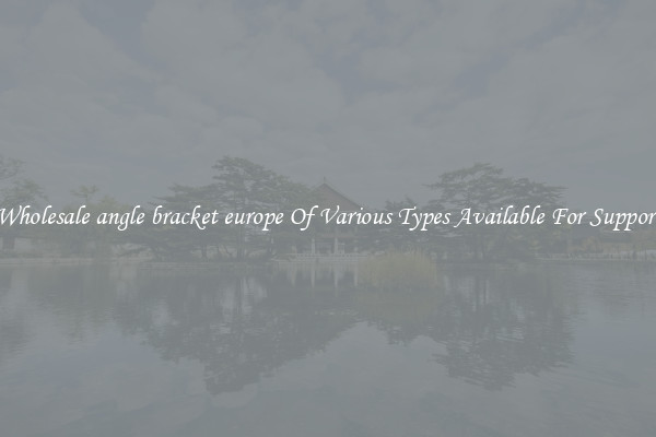 Wholesale angle bracket europe Of Various Types Available For Support