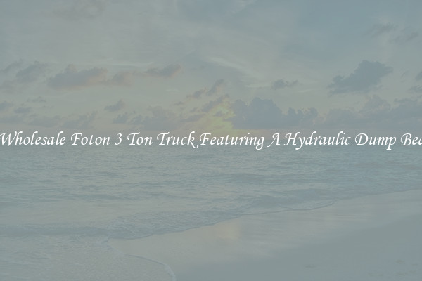 Wholesale Foton 3 Ton Truck Featuring A Hydraulic Dump Bed