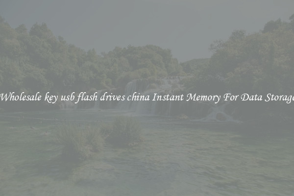 Wholesale key usb flash drives china Instant Memory For Data Storage