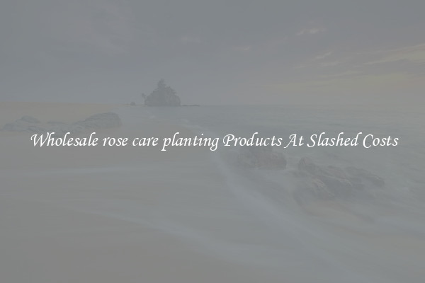 Wholesale rose care planting Products At Slashed Costs