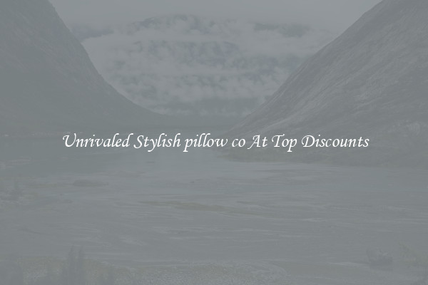 Unrivaled Stylish pillow co At Top Discounts