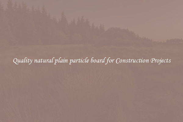 Quality natural plain particle board for Construction Projects