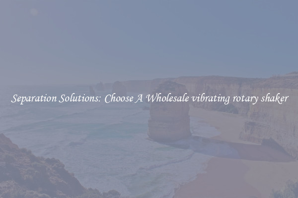 Separation Solutions: Choose A Wholesale vibrating rotary shaker