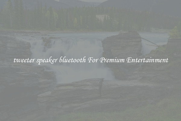 tweeter speaker bluetooth For Premium Entertainment