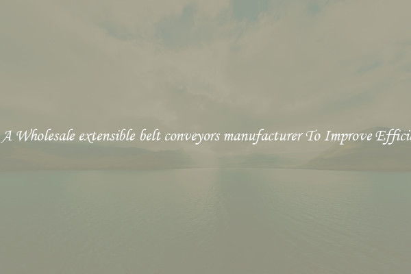 Get A Wholesale extensible belt conveyors manufacturer To Improve Efficiency